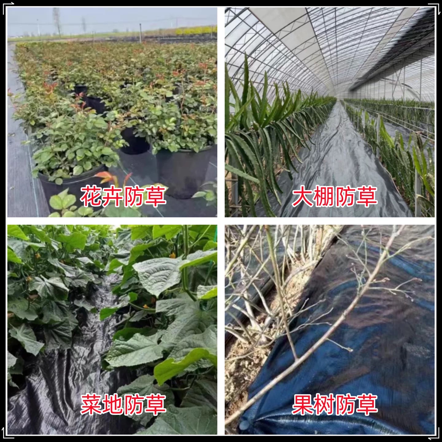 聊城市农用薄膜防草布 - 厂家