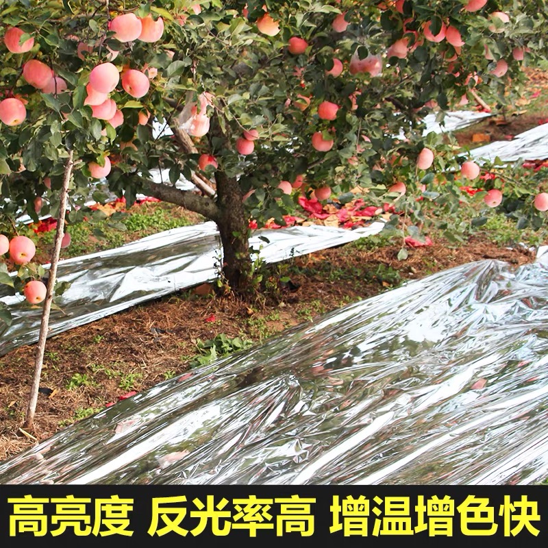 聊城市货车苫盖膜果树反光膜 - 一站式服务